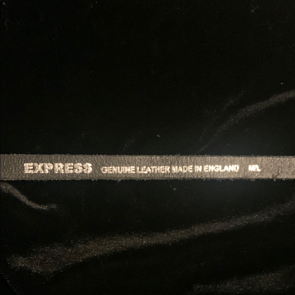 Express Gold Belt Classic Accessory - Picture 2 of 6